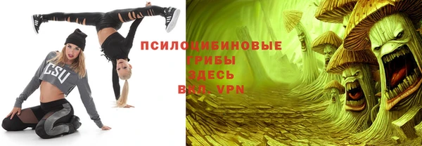 прущая мука Богородицк