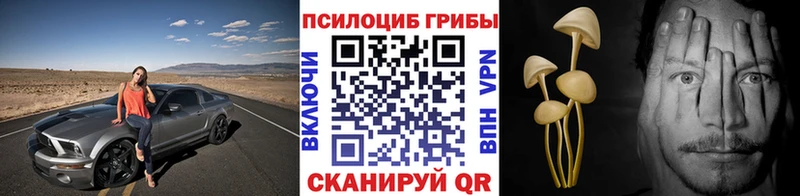 Псилоцибиновые грибы Cubensis  Купить где  Красноуфимск 